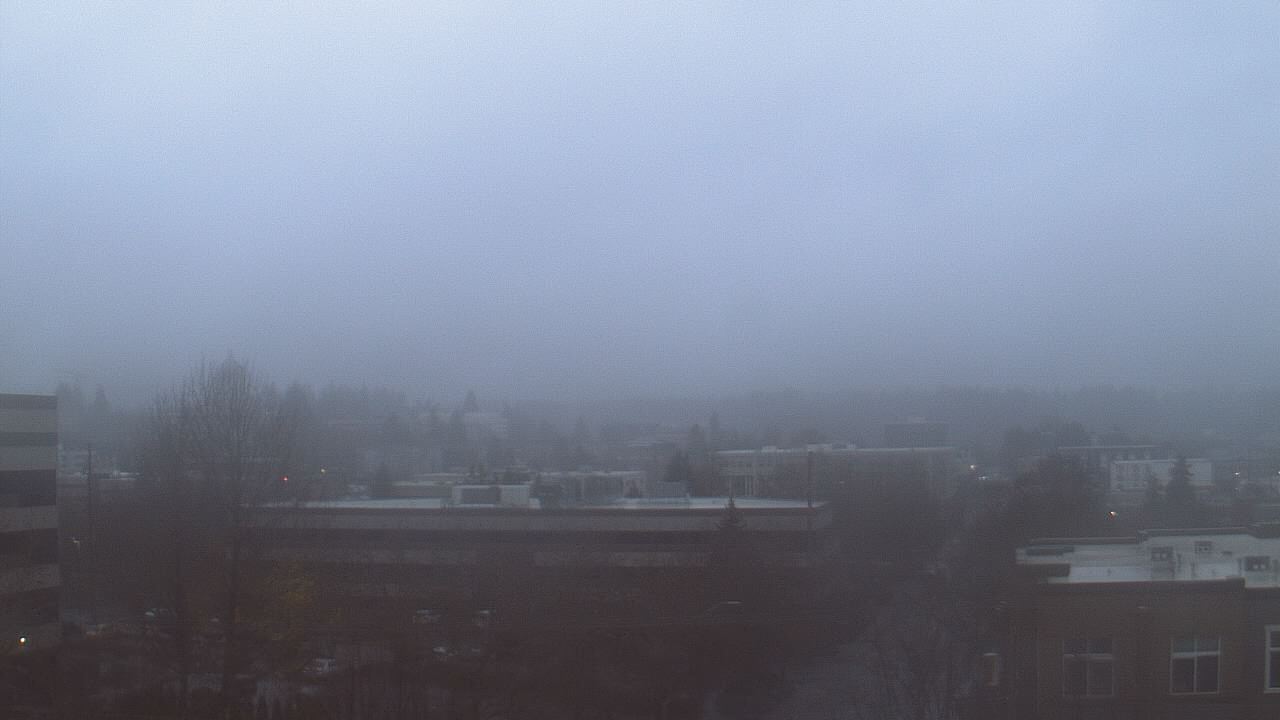 Thumbnail for current weather camera view from Avanti HS in Olympia, Washington