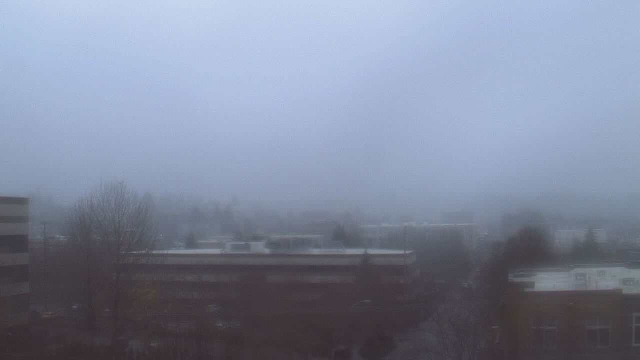Thumbnail for current weather camera view from Avanti HS in Olympia, Washington