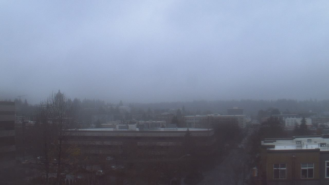 Thumbnail for current weather camera view from Avanti HS in Olympia, Washington