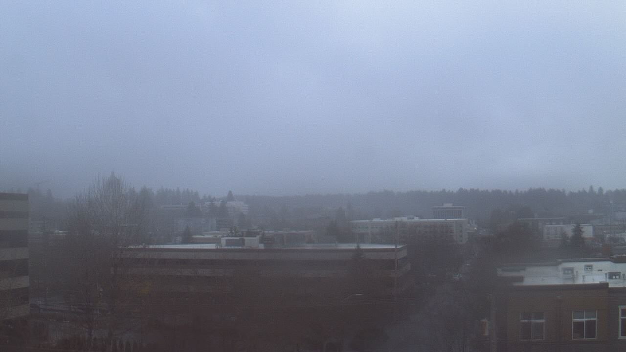 Thumbnail for current weather camera view from Avanti HS in Olympia, Washington