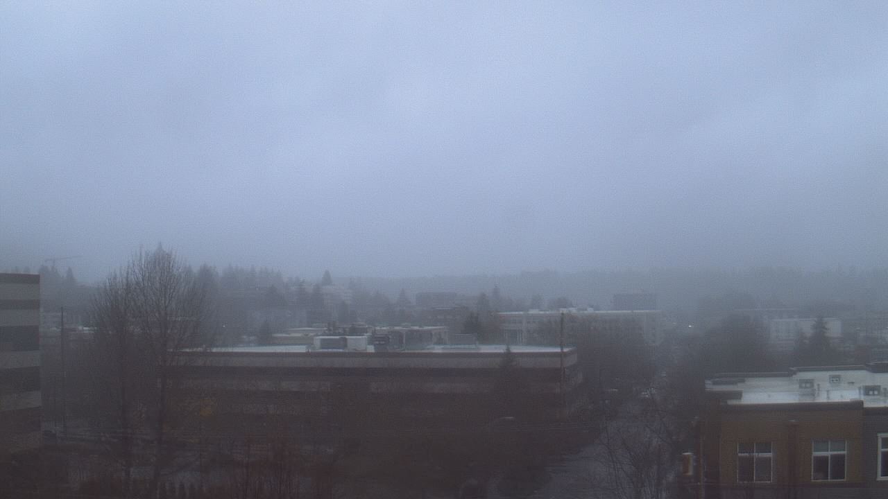 Thumbnail for current weather camera view from Avanti HS in Olympia, Washington