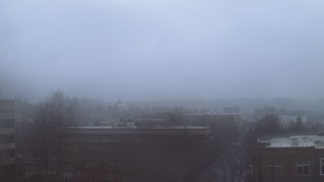 Thumbnail for current weather camera view from Avanti HS in Olympia, Washington