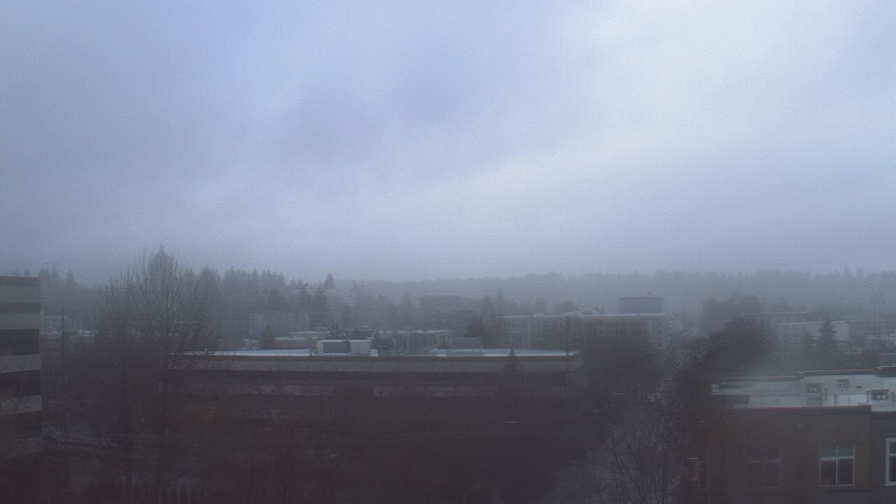 Thumbnail for current weather camera view from Avanti HS in Olympia, Washington