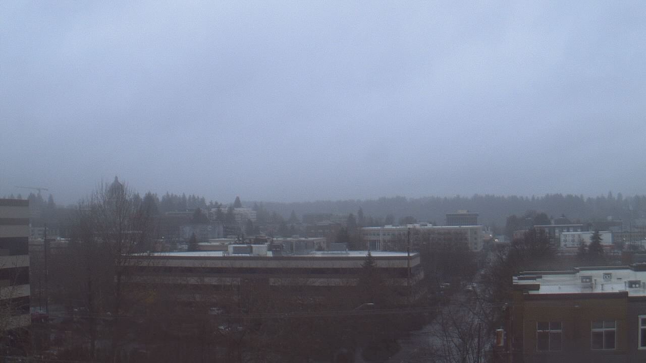Thumbnail for current weather camera view from Avanti HS in Olympia, Washington