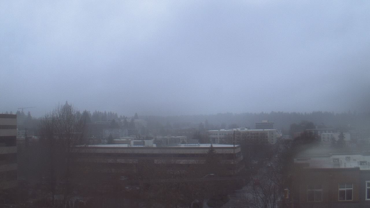 Thumbnail for current weather camera view from Avanti HS in Olympia, Washington
