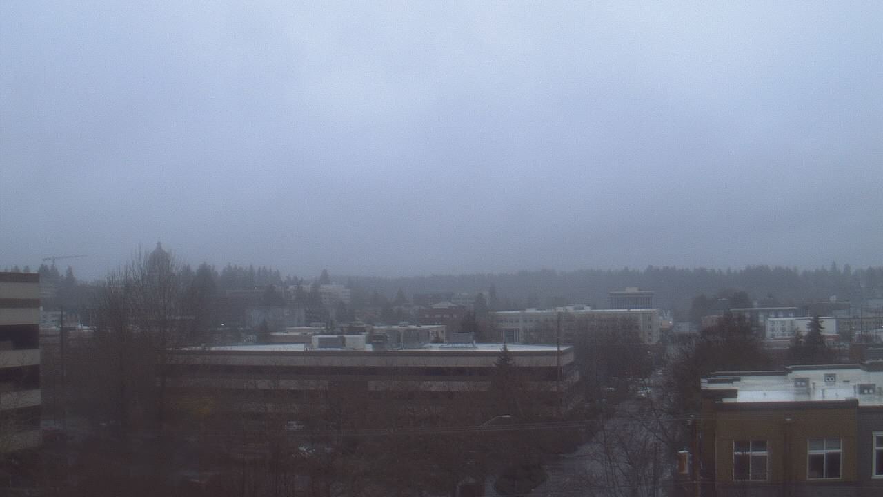 Thumbnail for current weather camera view from Avanti HS in Olympia, Washington