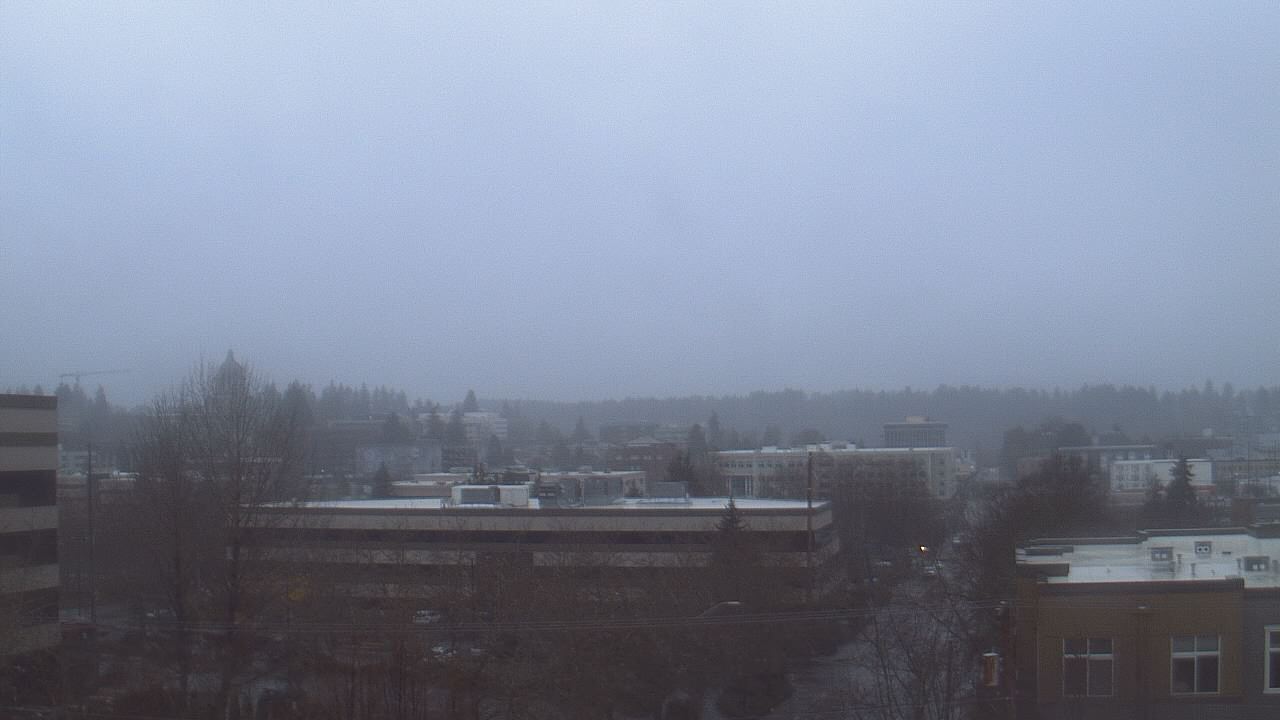 Thumbnail for current weather camera view from Avanti HS in Olympia, Washington