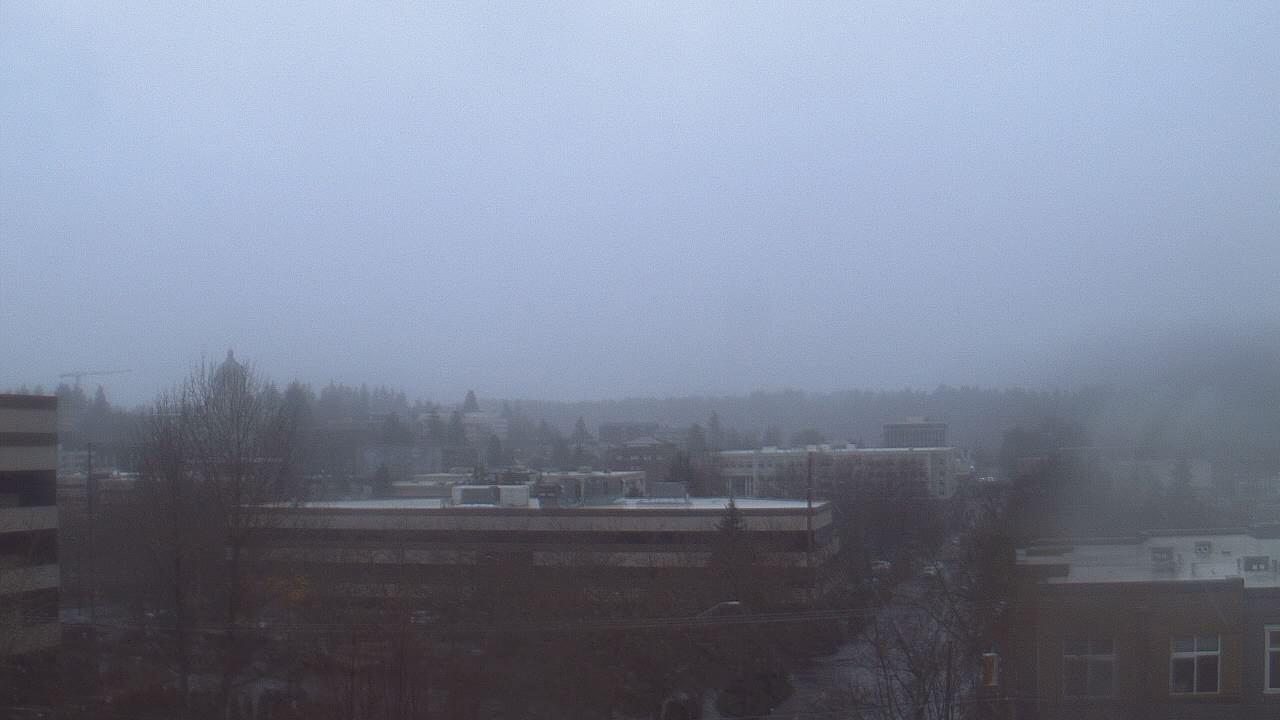 Thumbnail for current weather camera view from Avanti HS in Olympia, Washington