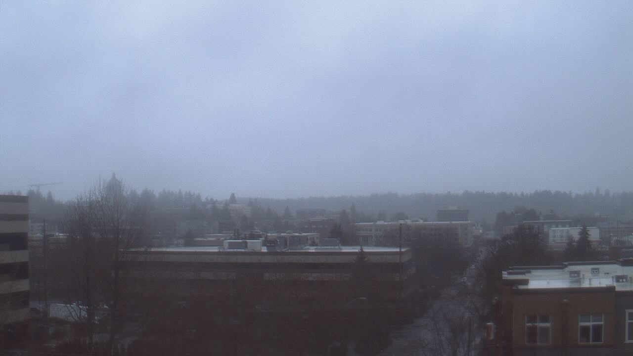 Thumbnail for current weather camera view from Avanti HS in Olympia, Washington