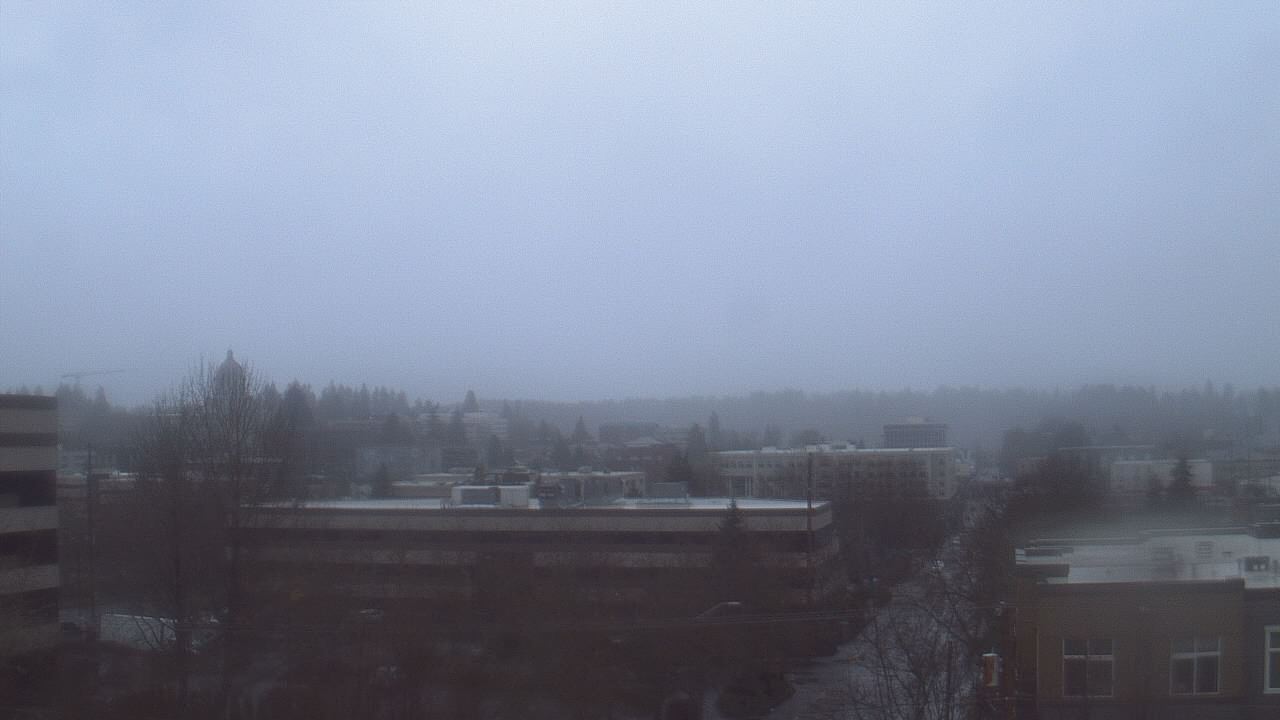 Thumbnail for current weather camera view from Avanti HS in Olympia, Washington
