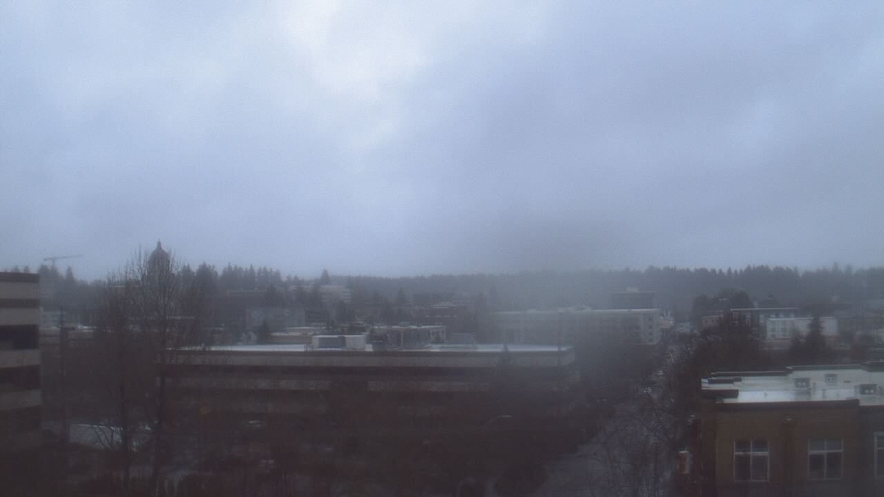 Thumbnail for current weather camera view from Avanti HS in Olympia, Washington