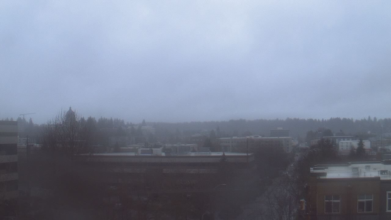 Thumbnail for current weather camera view from Avanti HS in Olympia, Washington