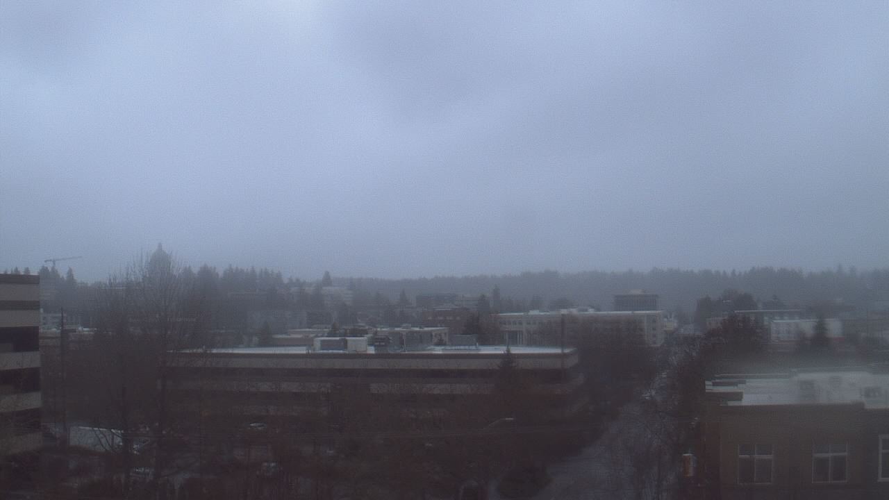 Thumbnail for current weather camera view from Avanti HS in Olympia, Washington