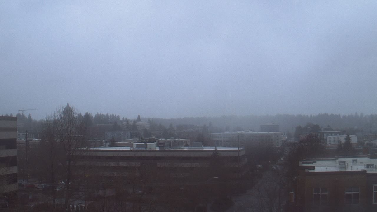 Thumbnail for current weather camera view from Avanti HS in Olympia, Washington