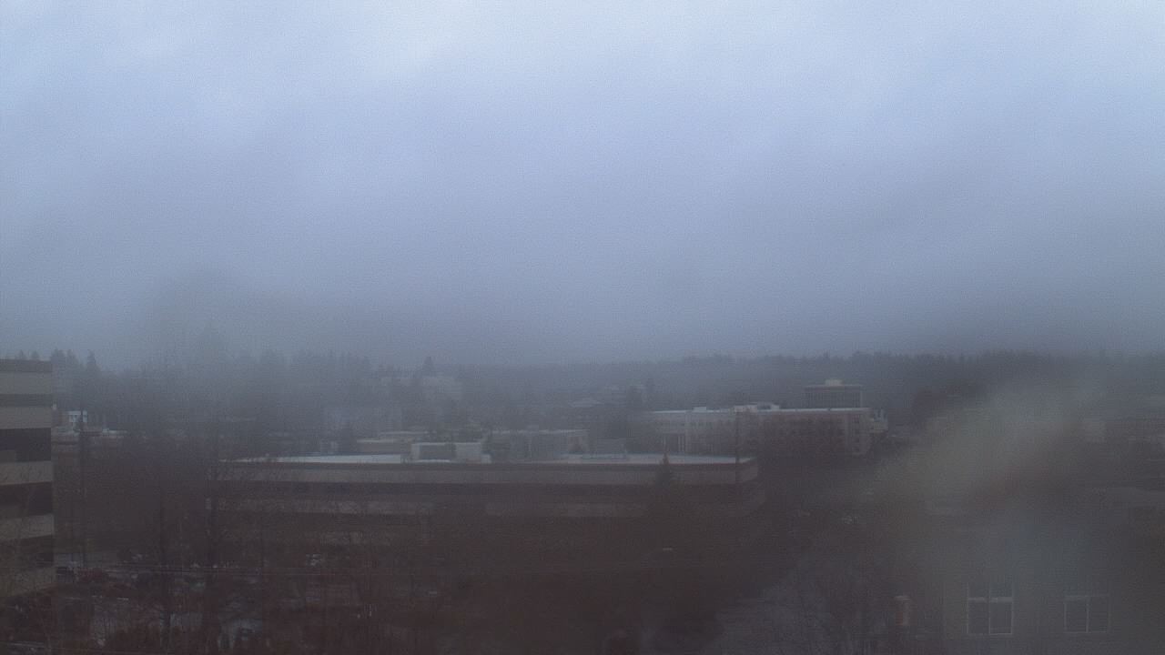 Thumbnail for current weather camera view from Avanti HS in Olympia, Washington