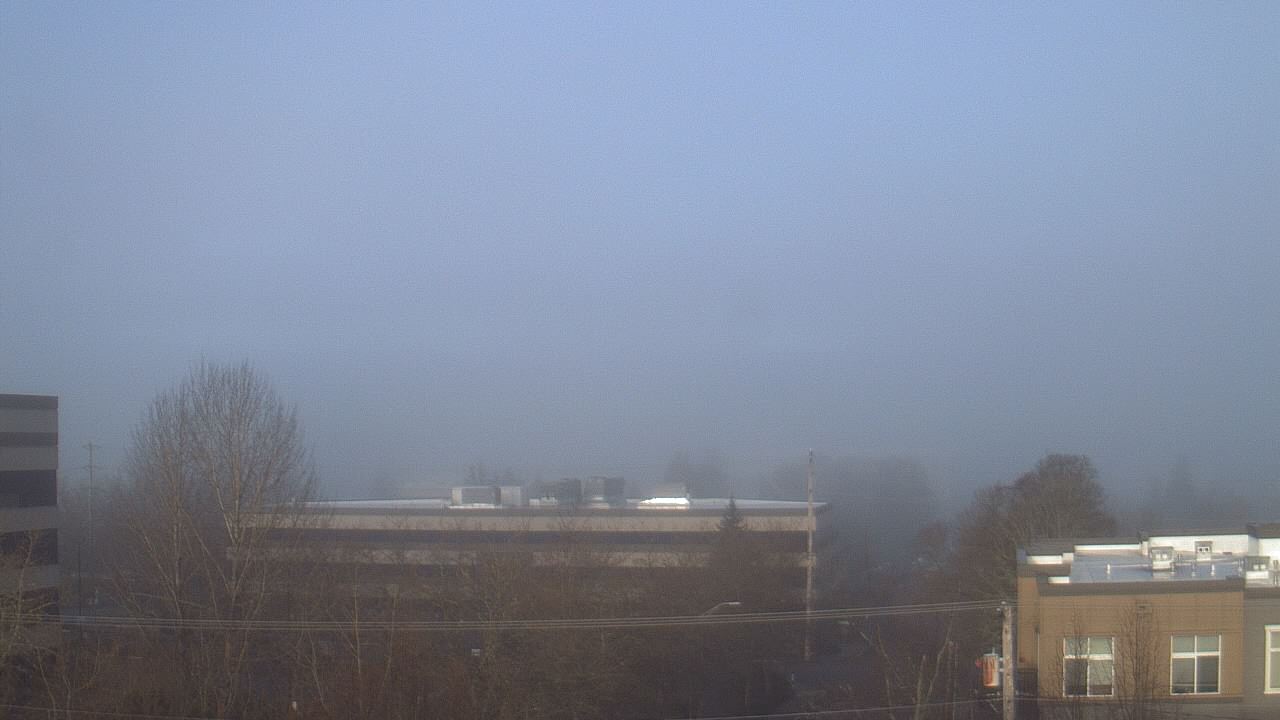 Thumbnail for current weather camera view from Avanti HS in Olympia, Washington