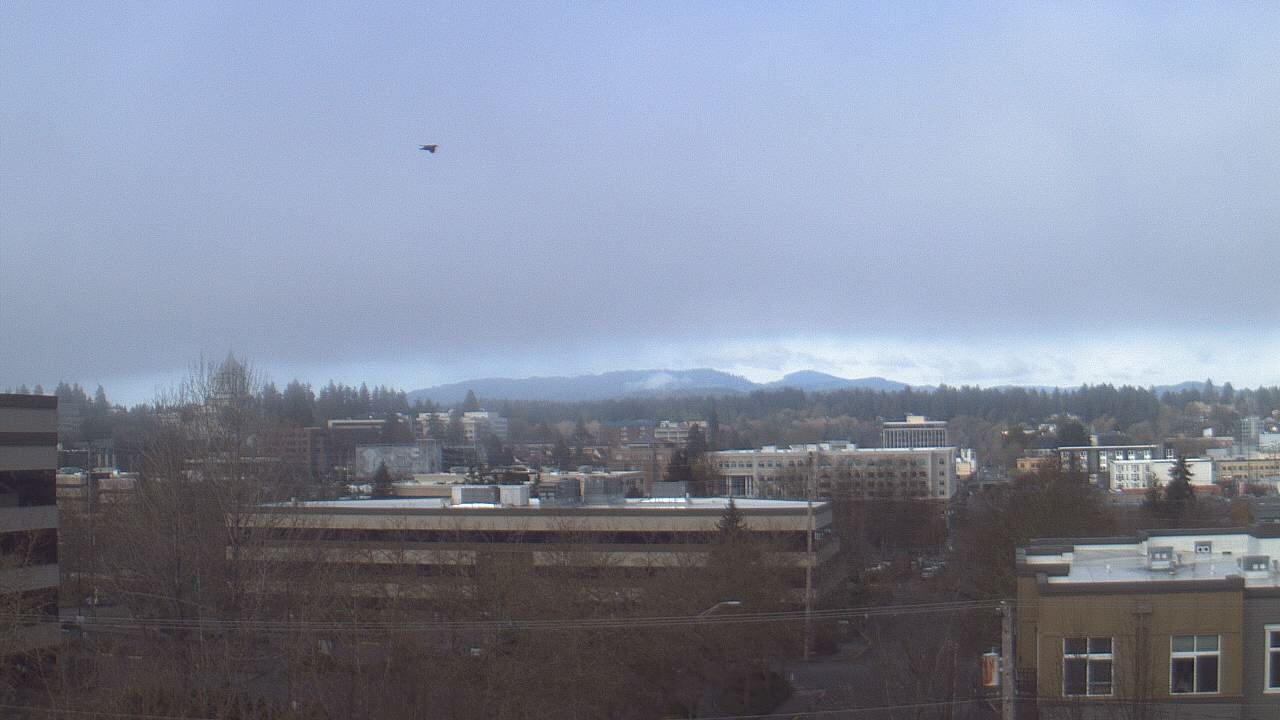Thumbnail for current weather camera view from Avanti HS in Olympia, Washington