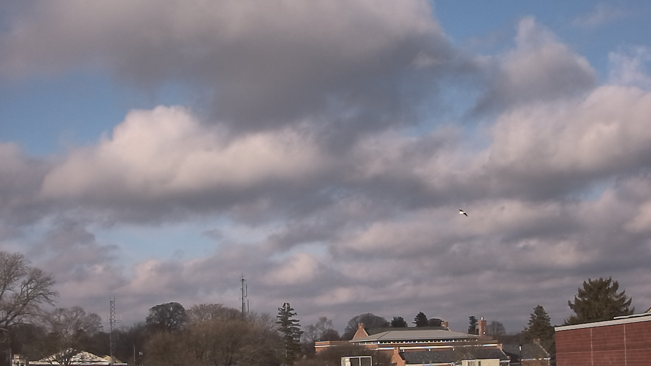 Thumbnail for current weather camera view from Old Saybrook MS in Old Saybrook Center, Connecticut