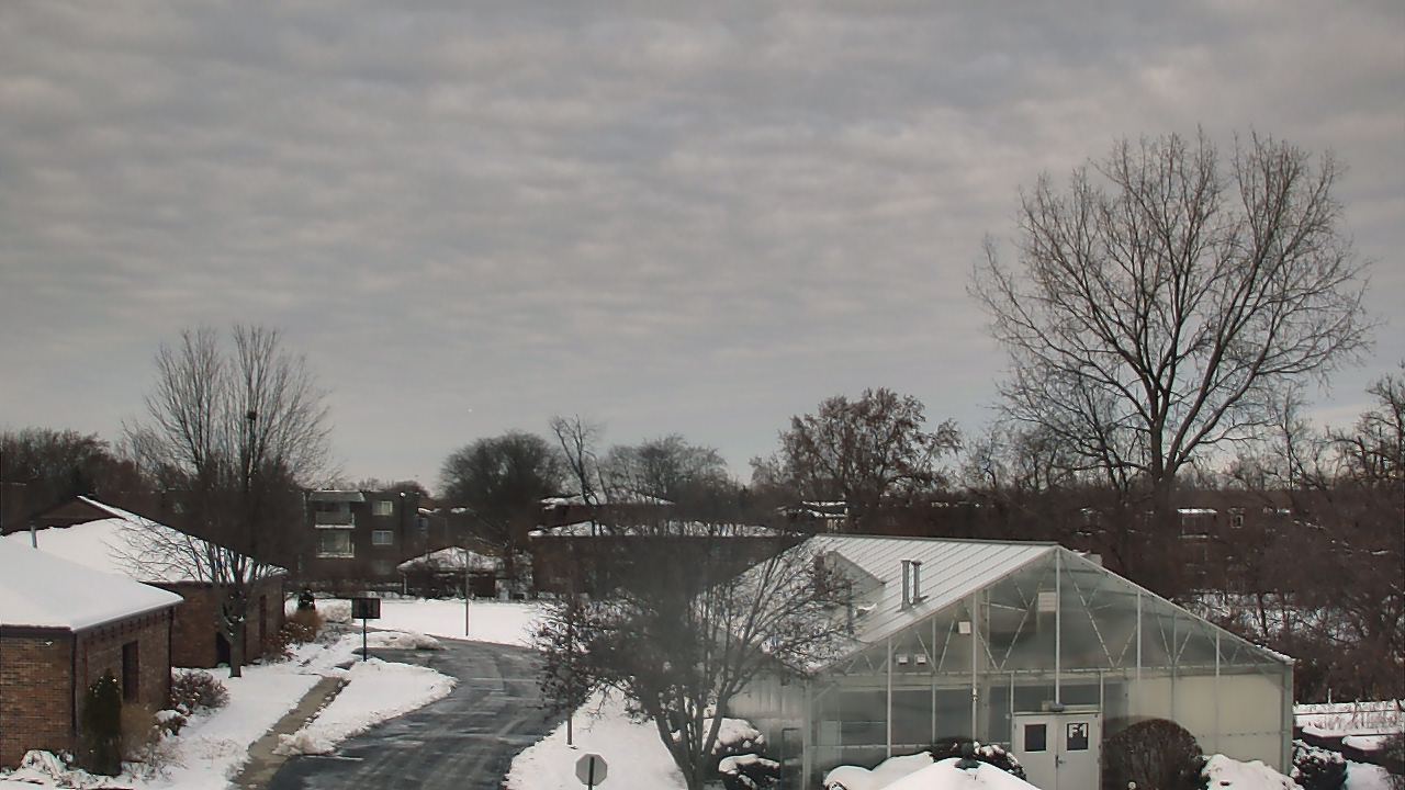 Thumbnail for current weather camera view from Elim Christian Services in Crestwood, Illinois