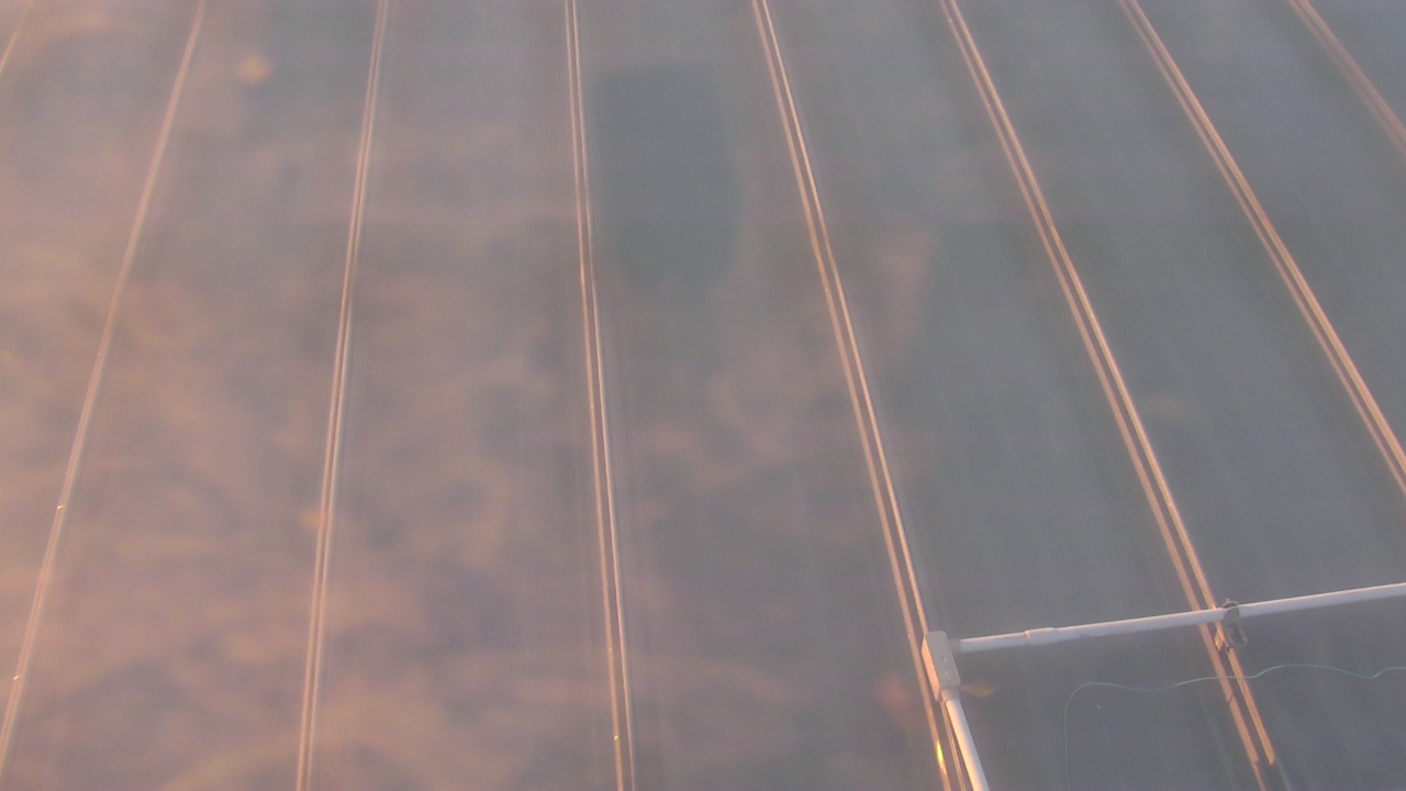 Thumbnail for current weather camera view from Potomac Mills Mall in Potomac Mills, Virginia