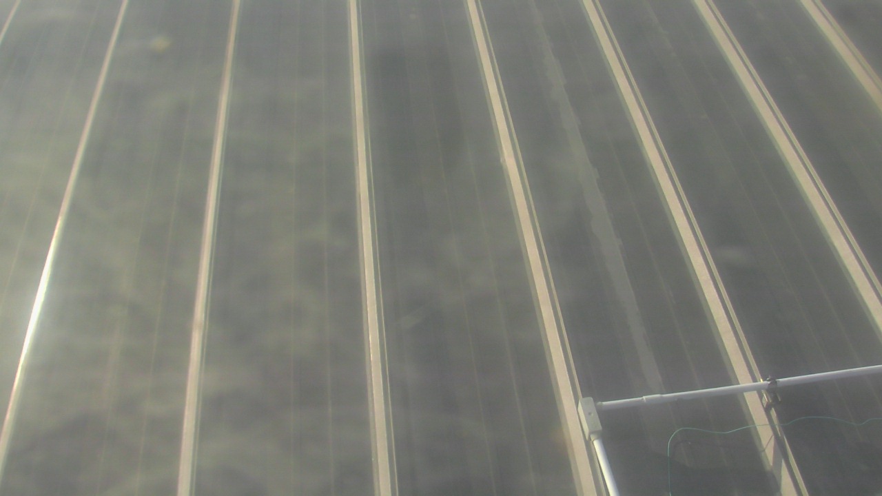 Thumbnail for current weather camera view from Potomac Mills Mall in Potomac Mills, Virginia