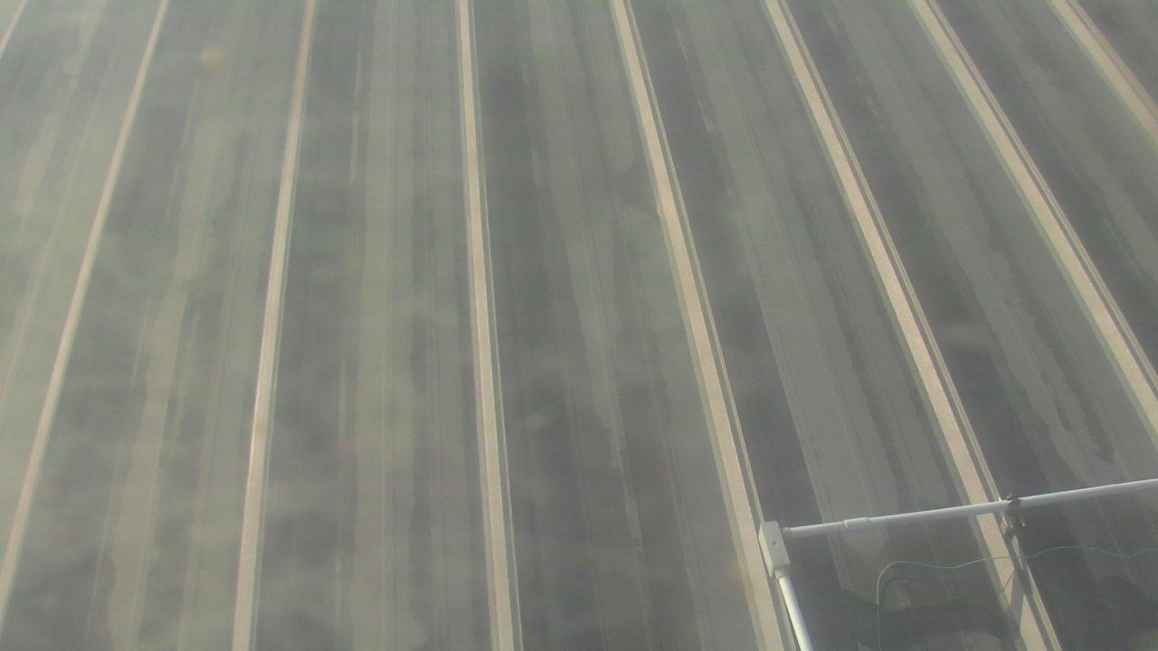 Thumbnail for current weather camera view from Potomac Mills Mall in Potomac Mills, Virginia