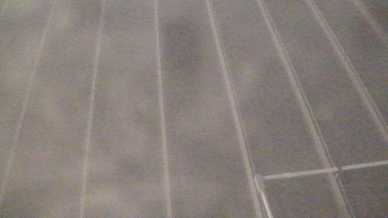 Thumbnail for current weather camera view from Potomac Mills Mall in Potomac Mills, Virginia