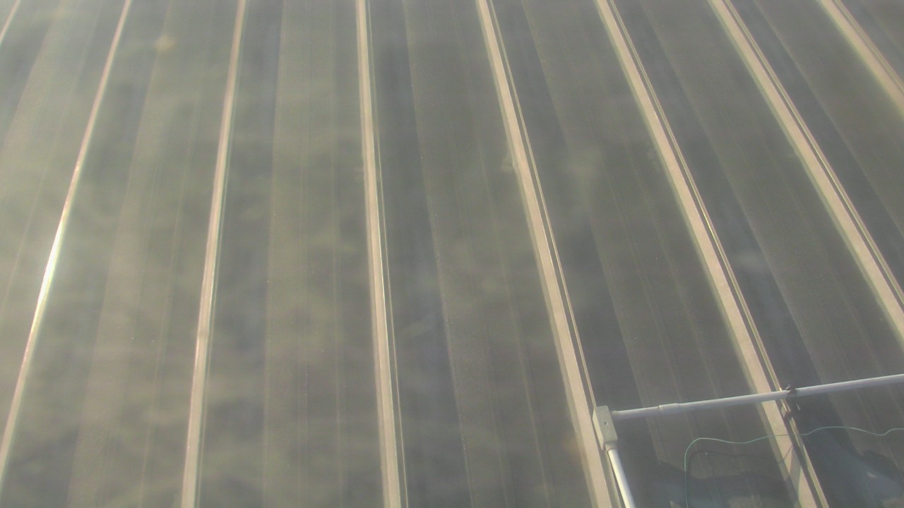 Thumbnail for current weather camera view from Potomac Mills Mall in Potomac Mills, Virginia