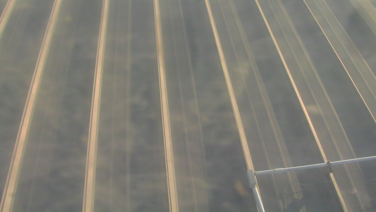 Thumbnail for current weather camera view from Potomac Mills Mall in Potomac Mills, Virginia