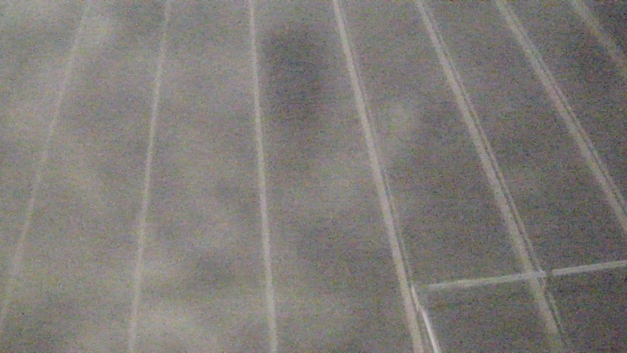 Thumbnail for current weather camera view from Potomac Mills Mall in Potomac Mills, Virginia