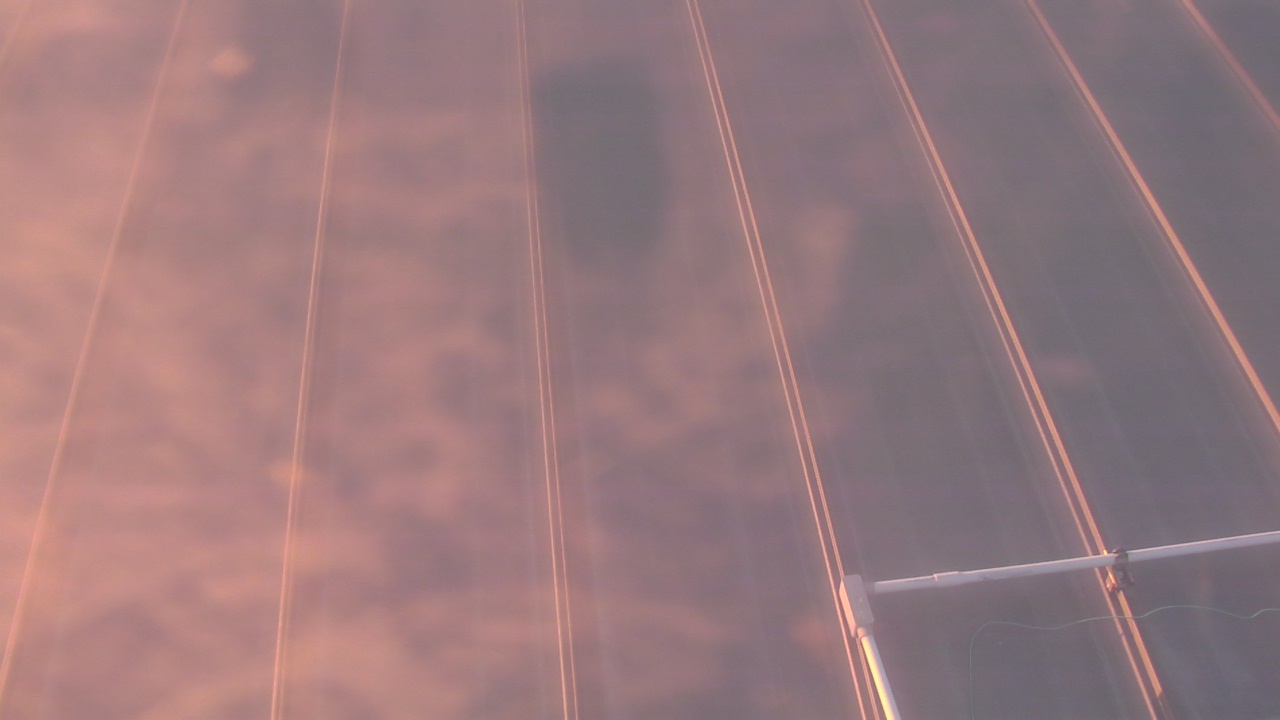 Thumbnail for current weather camera view from Potomac Mills Mall in Potomac Mills, Virginia