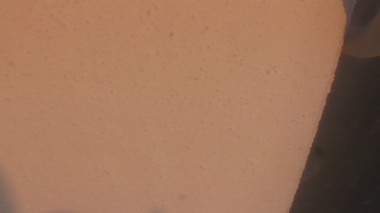 Thumbnail for current weather camera view from Liberty ES in Coconut Creek, Florida