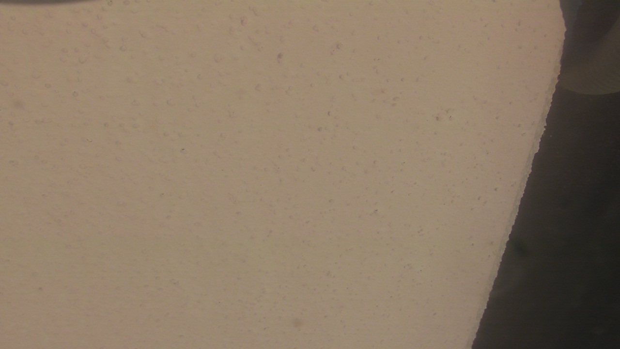 Thumbnail for current weather camera view from Liberty ES in Coconut Creek, Florida