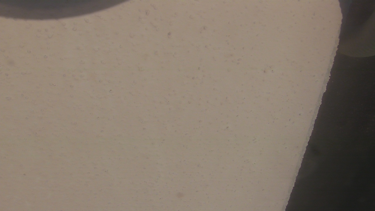 Thumbnail for current weather camera view from Liberty ES in Coconut Creek, Florida