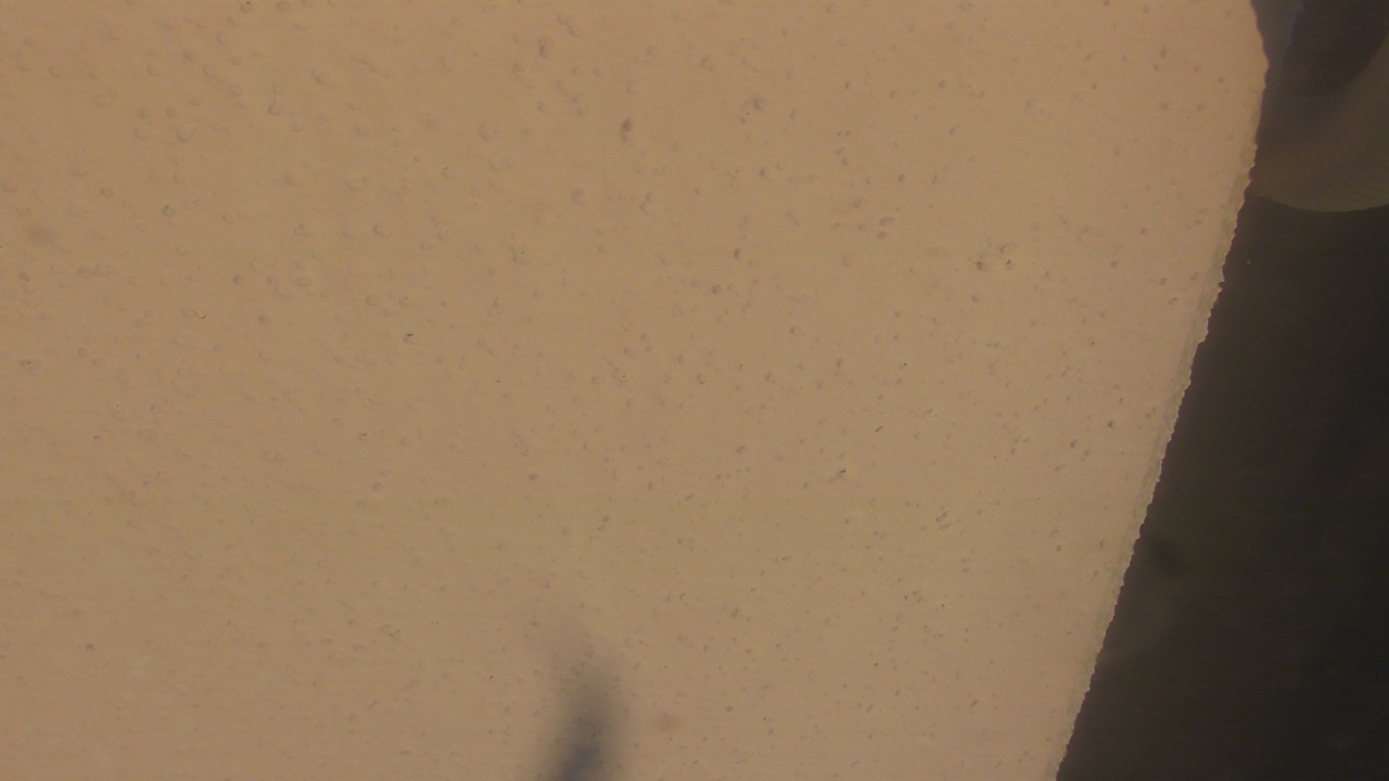 Thumbnail for current weather camera view from Liberty ES in Coconut Creek, Florida