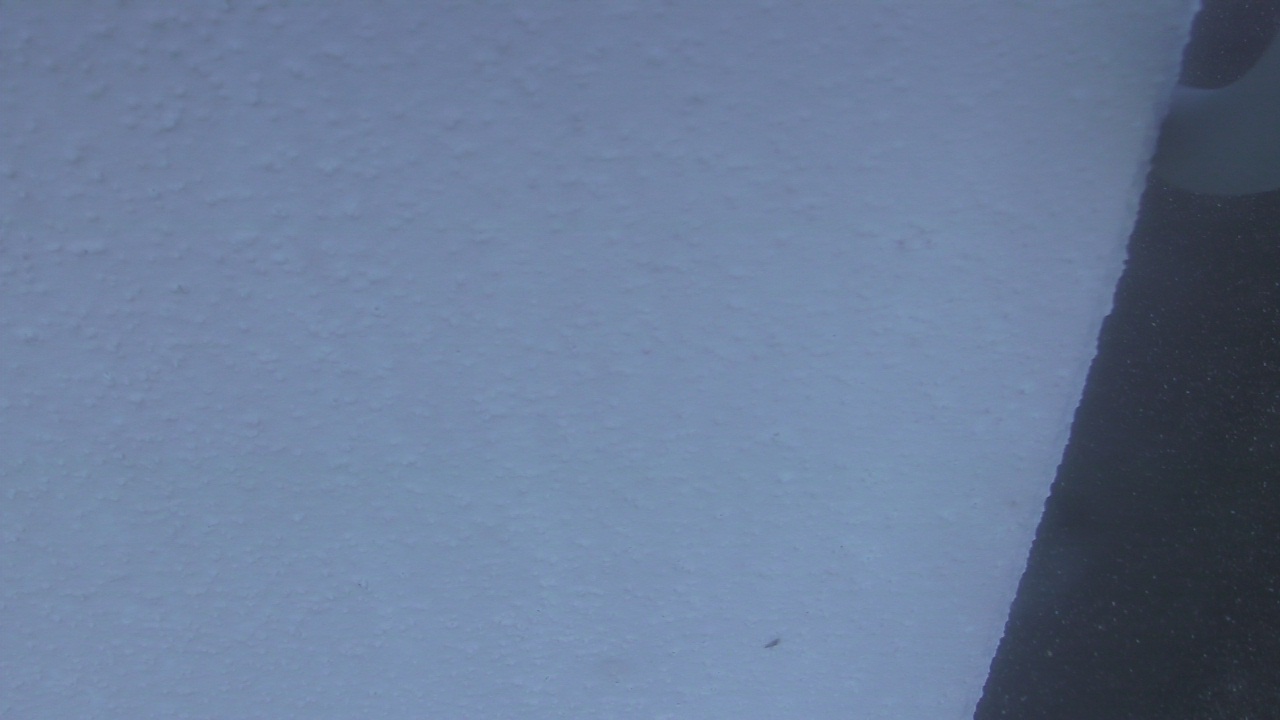 Thumbnail for current weather camera view from Liberty ES in Coconut Creek, Florida