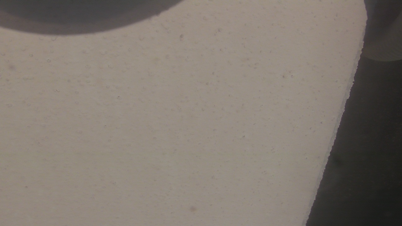 Thumbnail for current weather camera view from Liberty ES in Coconut Creek, Florida