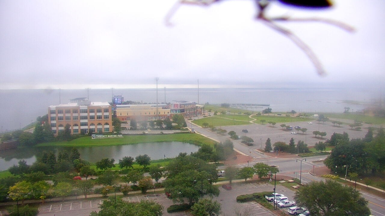 Thumbnail for current weather camera view from City of Pensacola City Hall in Pensacola, Florida