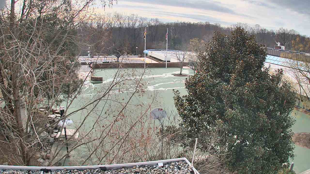 Thumbnail for current weather camera view from German School of Washington in Potomac, Maryland
