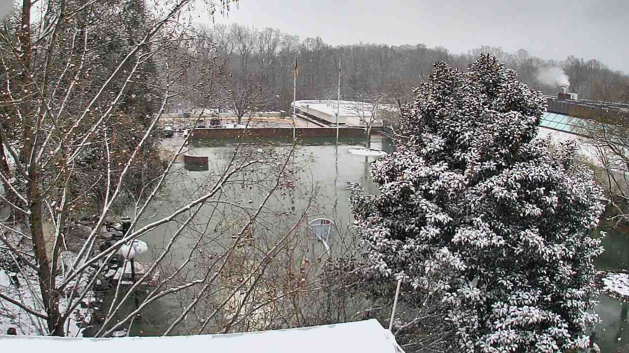 Thumbnail for current weather camera view from German School of Washington in Potomac, Maryland