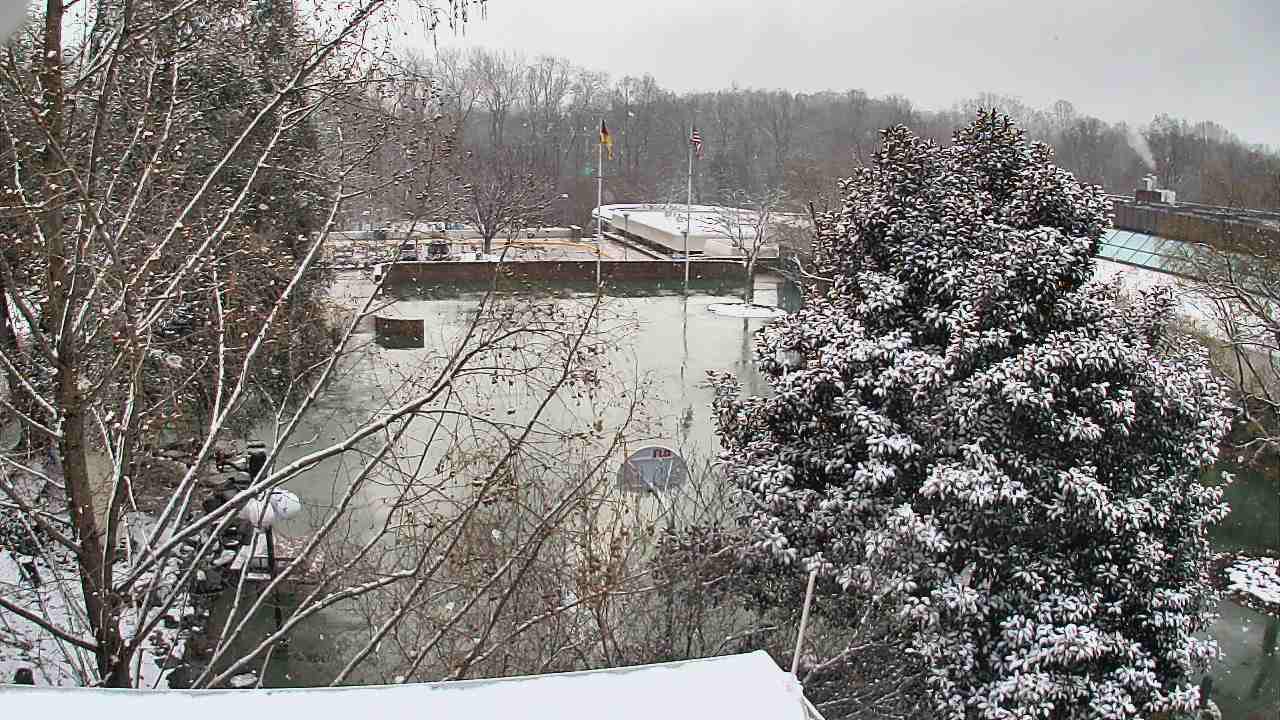 Thumbnail for current weather camera view from German School of Washington in Potomac, Maryland