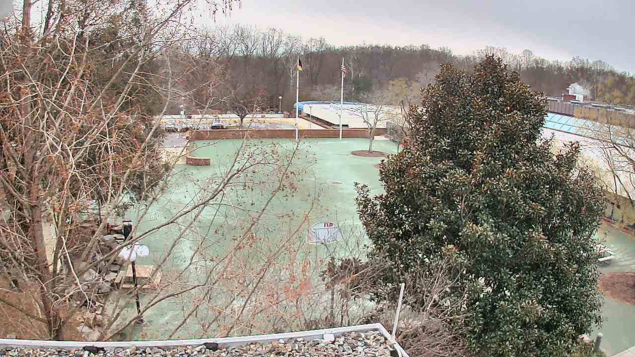 Thumbnail for current weather camera view from German School of Washington in Potomac, Maryland