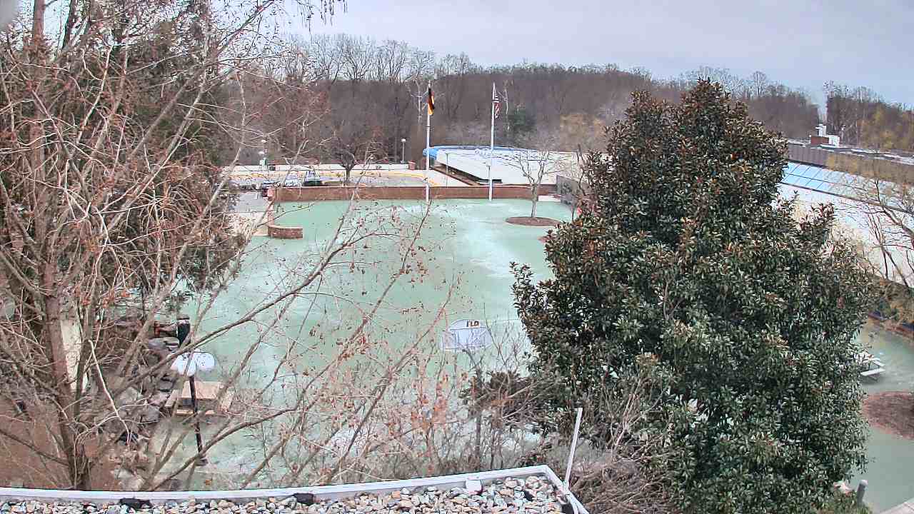 Thumbnail for current weather camera view from German School of Washington in Potomac, Maryland