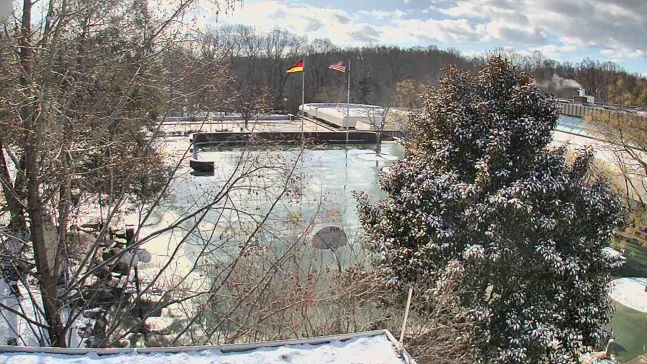 Thumbnail for current weather camera view from German School of Washington in Potomac, Maryland