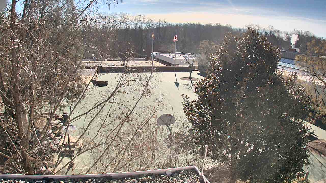 Thumbnail for current weather camera view from German School of Washington in Potomac, Maryland
