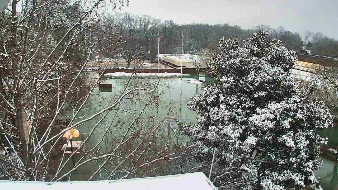 Thumbnail for current weather camera view from German School of Washington in Potomac, Maryland