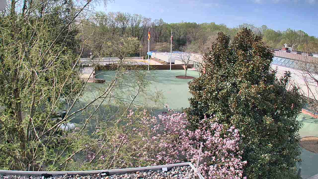 Thumbnail for current weather camera view from German School of Washington in Potomac, Maryland