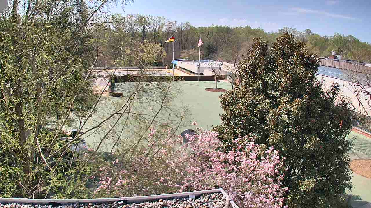 Thumbnail for current weather camera view from German School of Washington in Potomac, Maryland