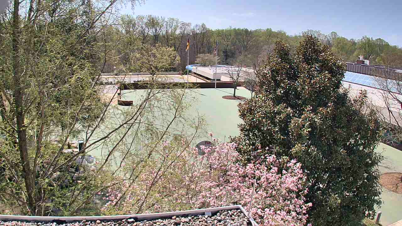 Thumbnail for current weather camera view from German School of Washington in Potomac, Maryland