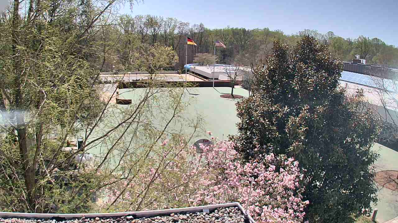 Thumbnail for current weather camera view from German School of Washington in Potomac, Maryland